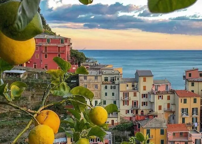 Nyaraló Welcome Migliarina